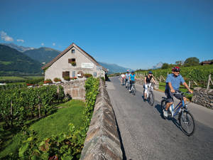 Die Jeninser Weinstube Alter Torkel geniesst in der Gegend einen guten Ruf. (Foto: Heidiland)