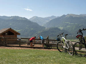 Im Heididorf dürfen die Ziegen natürlich nicht fehlen. Der Abstecher nach Ober Rofels (Maienfeld) lohnt sich aber auch wegen des herrlichen Alpenpanoramas.