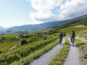 Typisch fürs Wallis: endlose Weinberge mit ebenso endlosen Wegen und Strässchen.