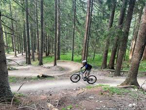 Für den Trail «Hangman II» wurde eine BMX-Piste in den Wald gegraben.