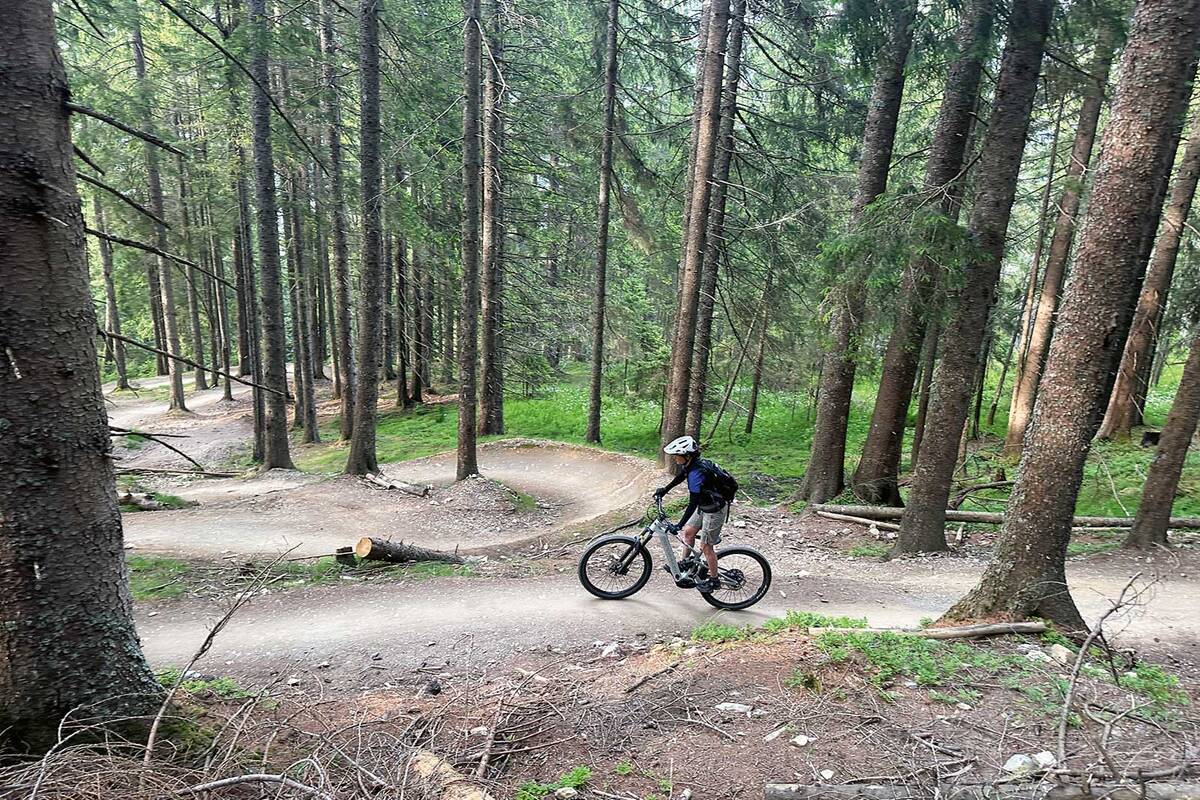 Für den Trail «Hangman II» wurde eine BMX-Piste in den Wald gegraben.